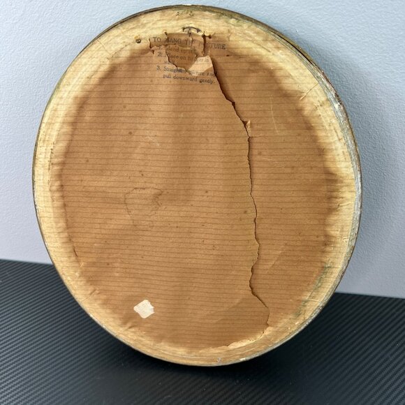 Vintage 1940’s Hylonympha Macrocerca Hummingbird Print by Gould Gold Oval Frame - Picture 6 of 10